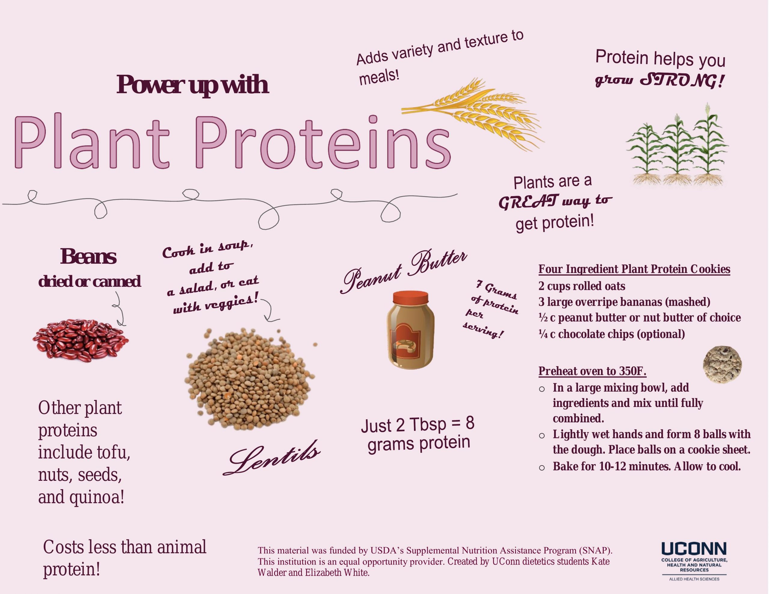 Power up with Plant Proteins handout