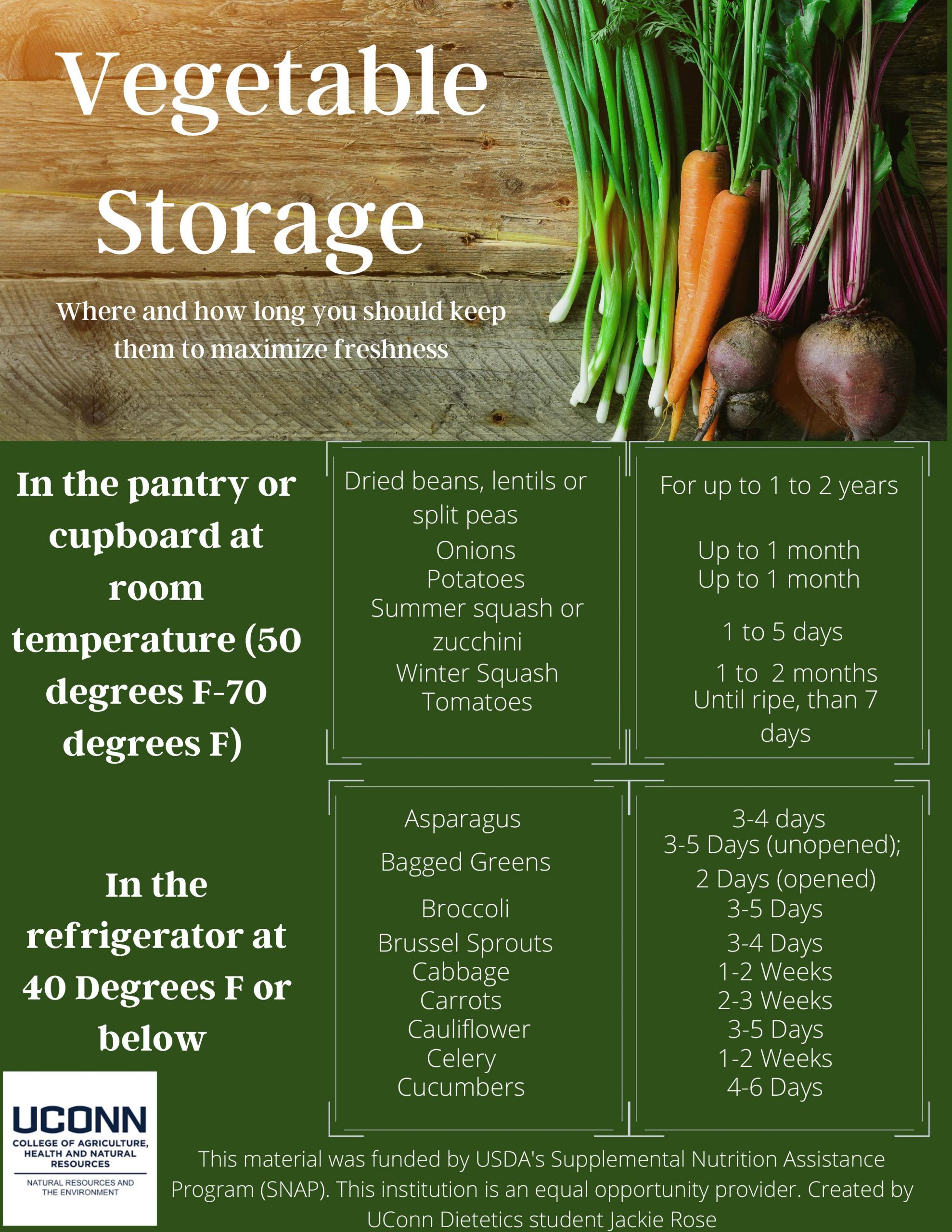vegetable storage infographic