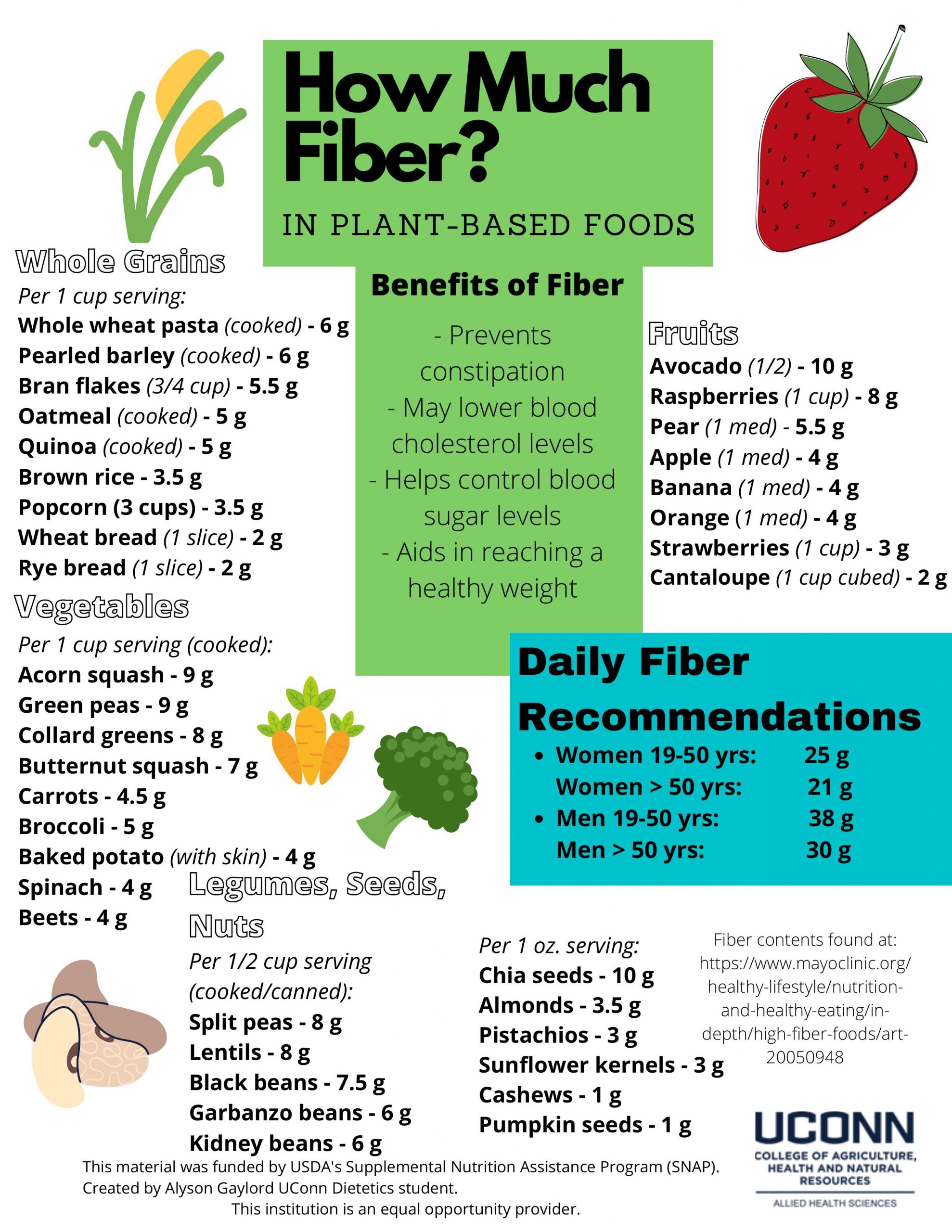 How Much Fiber in Plant-based Foods