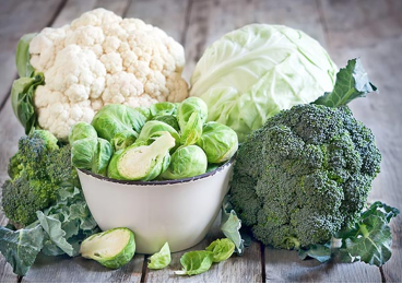 cruciferous vegetable collection on a counter