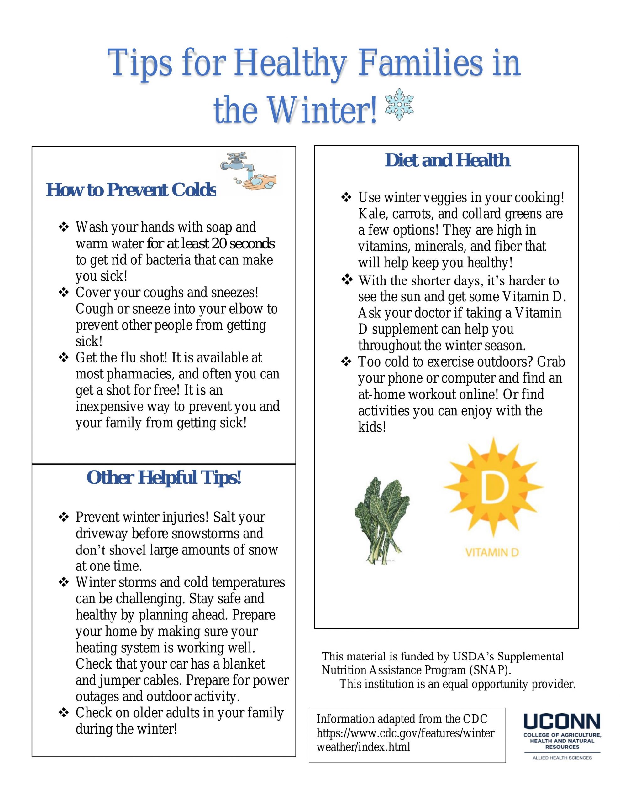 Healthy Families in the Winter handout