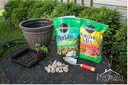 pot and potting soil