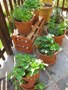 You can grow vegetables in containers