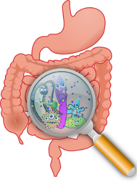 gut with microscope
