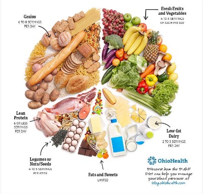 What is the Dash Diet?  Healthy Family Connecticut