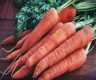 Shredder carrots stock image. Image of vitamins, beneficial - 46729539